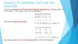 gap opening penalty and gap extension penalty|Lecture 5: Sequence Alignment – Global Alignment .